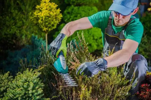 landscaping services Antwerp